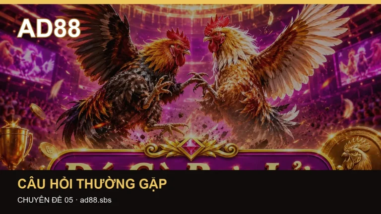 Giải thích thuật ngữ cốt lõi trong Câu hỏi thường gặp – trả lời thắc mắc theo bằng chứng kiểm tra