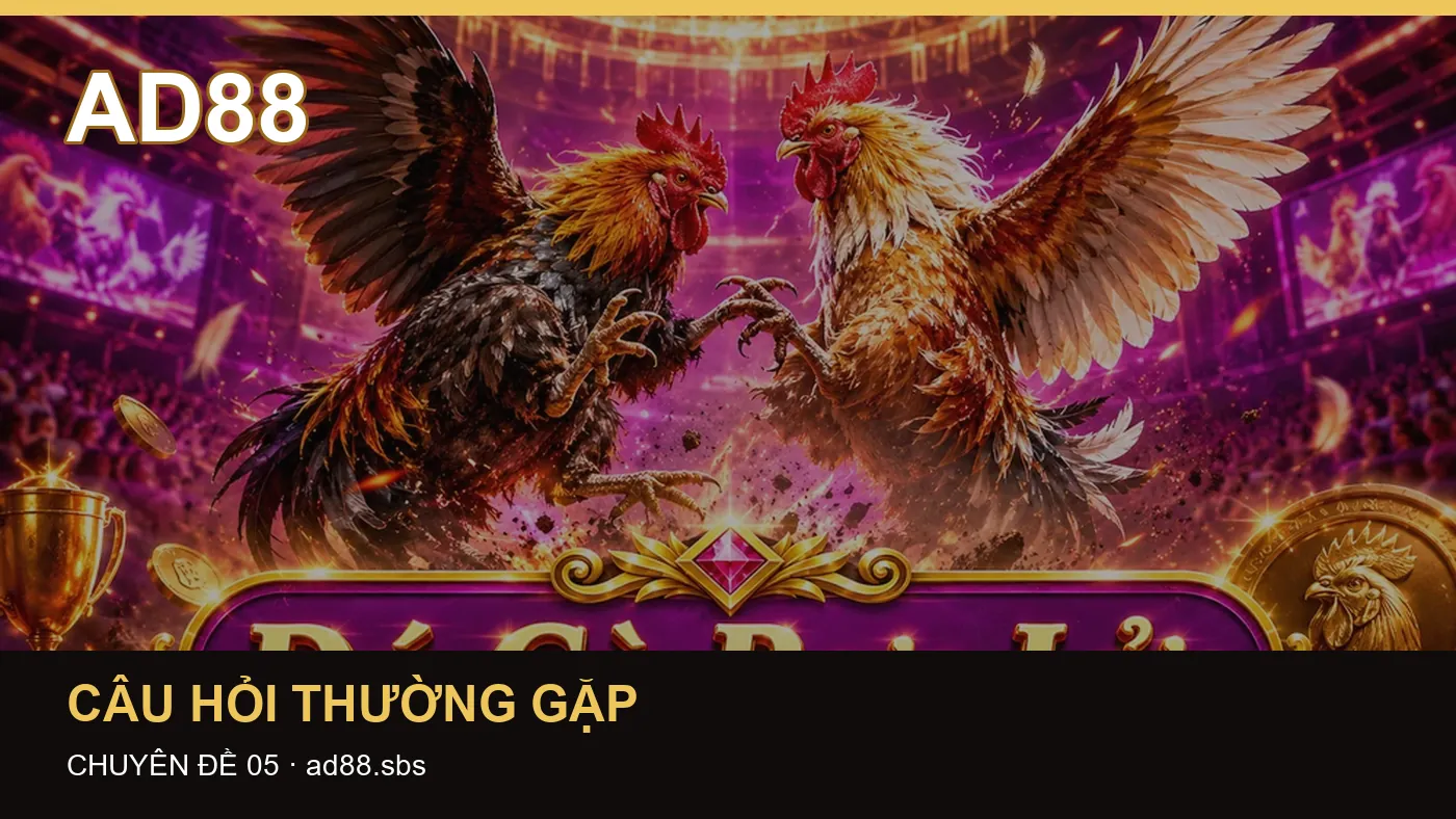 Giải thích thuật ngữ cốt lõi trong Câu hỏi thường gặp – trả lời thắc mắc theo bằng chứng kiểm tra